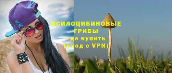 спиды Алексин