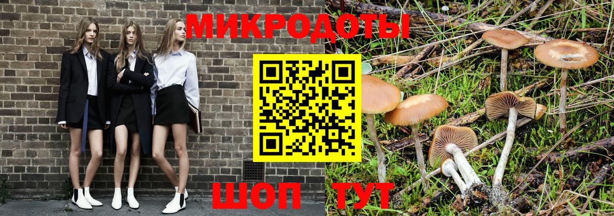 Галлюциногенные грибы прущие грибы  Вход с VPN  где найти   Апатиты 