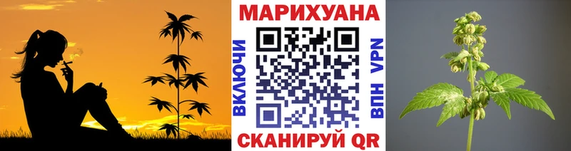 наркота  Апатиты  сайты даркнета официальный сайт  Бошки марихуана THC 21% 